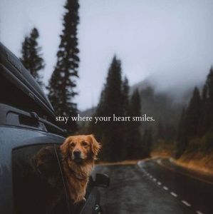 Meet your Posher, Asha